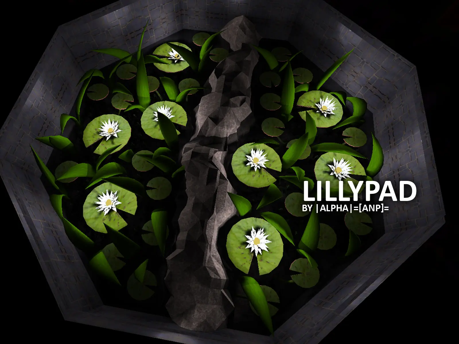 lillypad