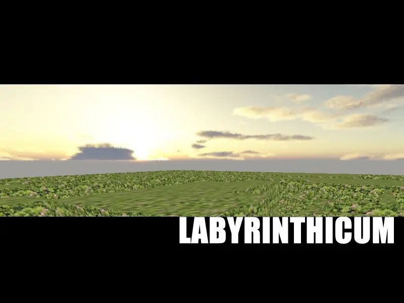 ut4_labyrinthicum_b2